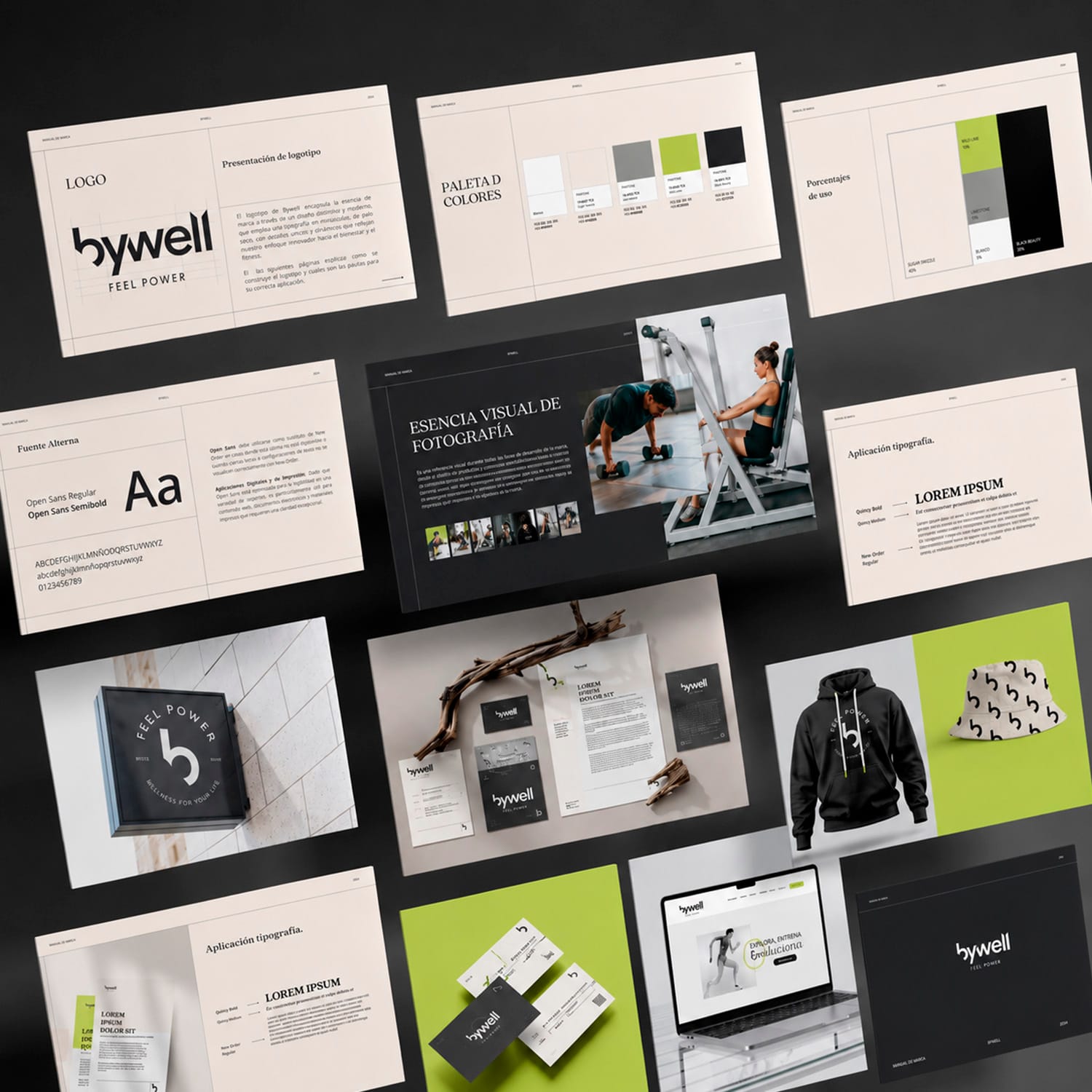 Proyecto web 1